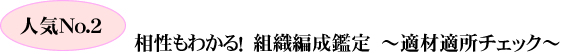 相性もわかる！　組織編成鑑定　～適材適所チェック～