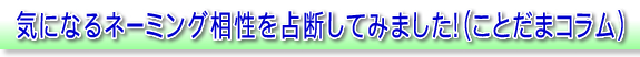 気になるネーミング相性を占断してみました！（ことだまコラム）